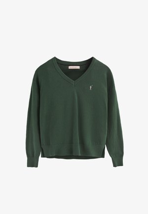 Maglione a maglia verde scuro con scollatura a V, maniche lunghe e polsini a costine. Presenta un piccolo ricamo del logo sul petto. Texture morbida.