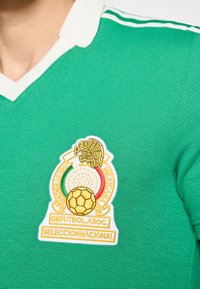 Πράσινη ποδοσφαιρική φανέλα με υφή υφάσματος, διαθέτει λευκό γιακ ά και τρεις λευκές ρίγες στους ώμους. Κεντημένο έμβλημα με λεπτομέρειες.