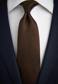 John Henric SOLID STRUCTURE - Stropdas - brown