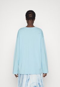 Hellblaues Langarmshirt mit rundem Ausschnitt und lockerer Passform, aus weichem Stoff gefertigt. Glatte Textur, mit abgesenkten Schulternähten.