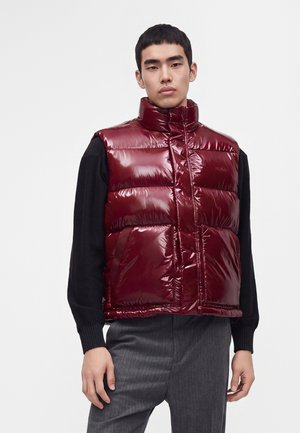 Jonge man die een glanzend donkerrood donsvest draagt over een zwart shirt met lange mouwen en grijze broek, tegen een effen witte achtergrond.