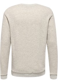 Lichtgrijze sweater met een gestructureerd breipatroon, ronde halslijn en ribgebreide boorden en zoom. De achterkant toont een eenvoudig ontwerp.