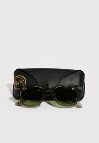 Γυαλιά ηλίου Ray-Ban Wayfarer με διαφανές πράσινο σκελετό, πράσινους φακούς και μαύρη θήκη με υφή που φέρει χρυσό λογότυπο.
