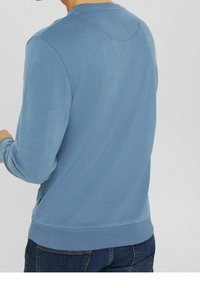 Sudadera de color azul claro con una textura suave, mangas largas y cuello redondo. Presenta puños y dobladillo acanalados. La vista trasera muestra un diseño sin costuras.
