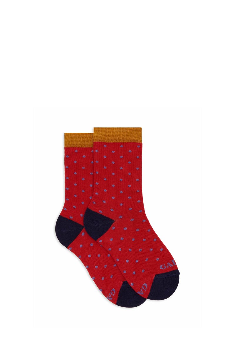 Un paio di calzini rossi con pois blu, polsini giallo senape e sezioni della punta e del tallone in blu scuro, distesi su uno sfondo bianco.