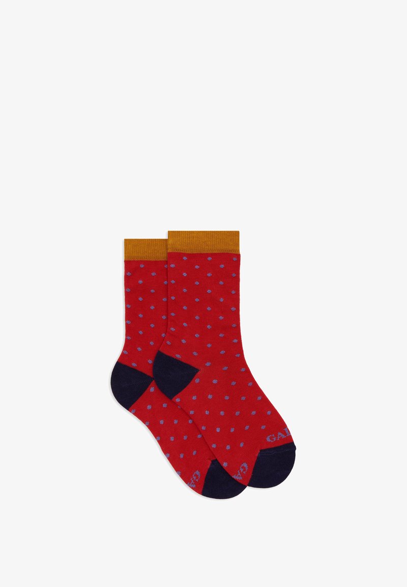 Un paio di calzini rossi con pois blu, polsini giallo senape e sezioni della punta e del tallone in blu scuro, distesi su uno sfondo bianco.