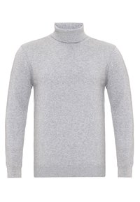 Grau turtleneck Pullover aus weichem Material, mit langen Ärmeln, geripptem Kragen und Bündchen sowie einem nahtlosen Körperdesign.