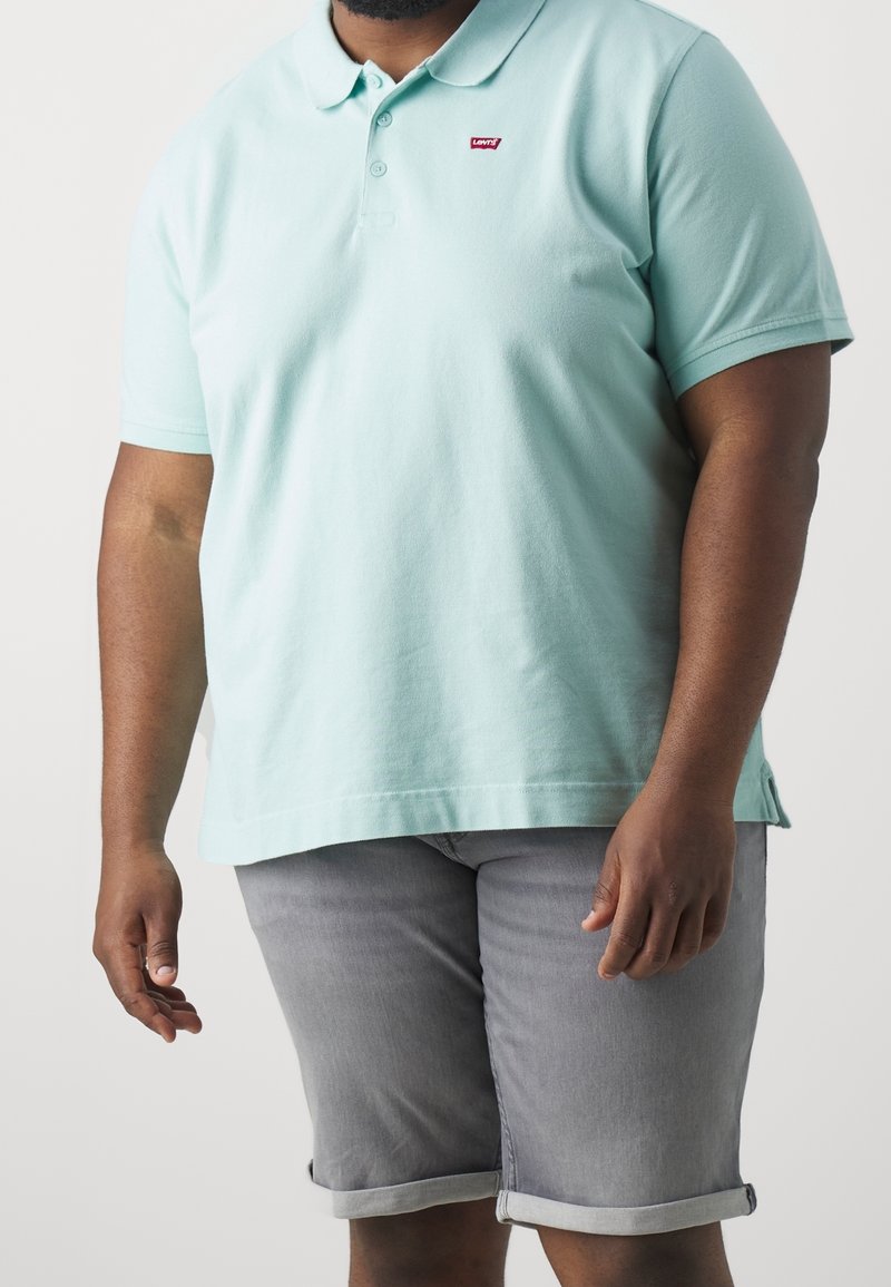 Polo vert menthe avec un logo Levi's, associé à un short en denim gris avec revers retroussés. Tissu doux et coupe classique ajustée.