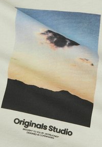 Jack & Jones JORVESTERBRO PICTURE CREW NECK - T-Shirt print - moonbeam