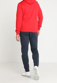Champion Luvtröja - red
