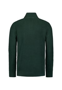NO EXCESS JACQUARD WITH HALF-BUTTON PLACKET - Trui - dark green