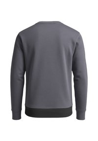 Grauer Pullover mit Rundhalsausschnitt, langen Ärmeln und einem schwarzen gerippten Taillenbund. Glatte Textur mit einem einfachen, einfarbigen Design.