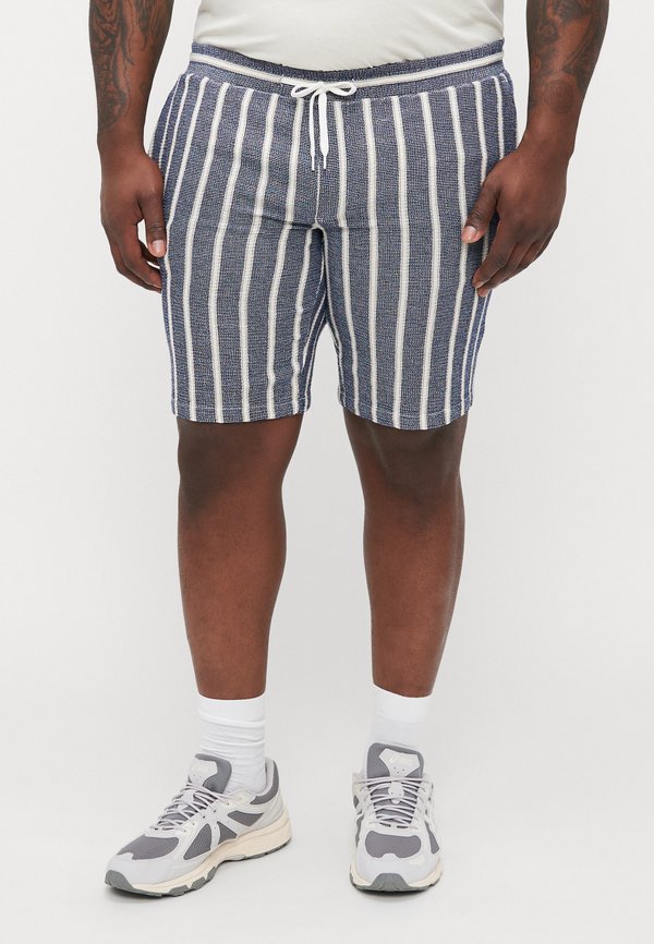 JPSTJAIDEN COBA STRIPE - Shorts - ocean cavern