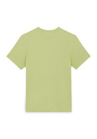 Dickies MAPLETON  - T-shirt basic - pale green