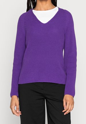 Person wearing a purple V-neck knitted sweater over a white shirt and black pants, standing against a plain light background.