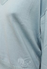 Maglione a maglia azzurro chiaro con scollatura a V, orlo a coste e un logo ricamato in modo discreto nella parte inferiore. Tessuto morbido nel complesso.