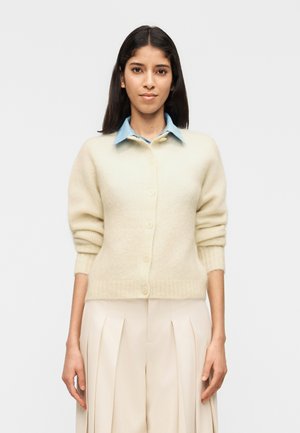 Młoda kobieta z długimi ciemnymi włosami, ubrana w kremowy kardigan na guziki, nałożony na niebieską koszulę z kołnierzykiem, oraz beżowe plisowane spodnie, stojąca na białym tle.