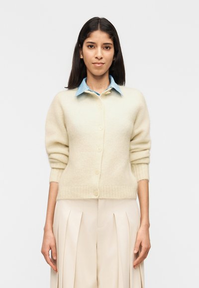 Junge Frau mit langen dunklen Haaren, die eine cremefarbene, geknöpfte Strickjacke über einem blauen Hemd mit Kragen und beigen Faltenhosen trägt, vor weißem Hintergrund stehend.