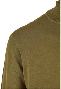 Olivgrüner Rollkragenpullover aus weichem Strickstoff, mit enganliegendem Schnitt und geripptem Kragen für zusätzlichen Komfort und Wärme.