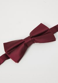 Burgunderfarbener Satin-Fliege mit glatter Textur und zentralem Knoten, befestigt an einem passenden verstellbaren Riemen.