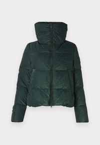Groene pufferjack met een glanzende textuur, rits aan de voorkant en een capuchon. Bevat horizontale quiltpatronen en drukknoopaccenten op de zakken.