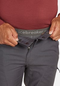 icebreaker 260 TECH - Calzoncillo largo - gritstone hthr