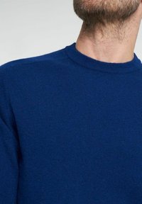Holebrook MANFRED CREW - Pulóver - blue