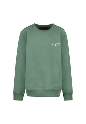 Cars Jeans TARAY BERRY - Sweater - bottle