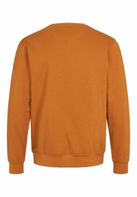 U.S. Polo Assn. TAIS - Sweatshirt - pumpkin spice
