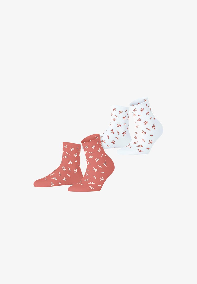Esprit TWIG 2-PACK - Chaussettes - sortiment