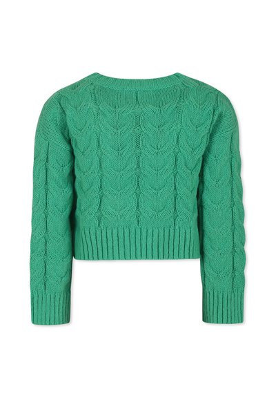 Pull vert en crochet, court, avec des manches longues, présentant un motif en tricot torsadé texturé et un ourlet côtelé.
