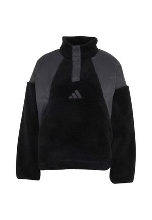adidas Sportswear, ADIDAS SPORTSWEAR TERREX XPLORIC CLIMAWARM HIGH PILE SNAP PULLOVER - Felpa in pile - black