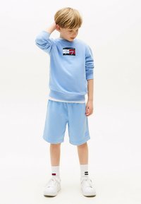 Tommy Hilfiger - TONAL FLAG EMBROIDERY  - Pantalones deportivos - cloudy blue Imagen en miniatura 1