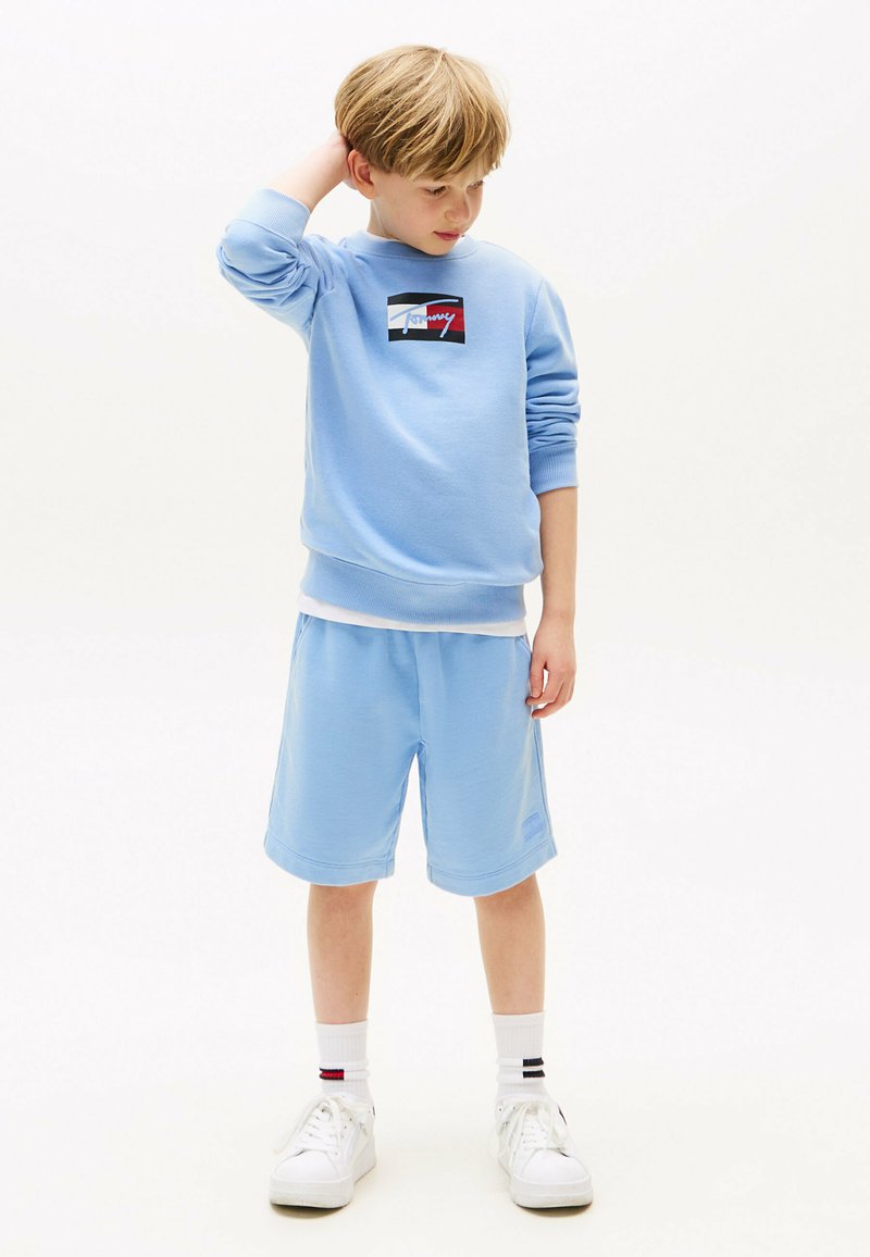 Tommy Hilfiger - TONAL FLAG EMBROIDERY  - Pantalones deportivos - cloudy blue, Ampliar