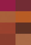 Color (1)