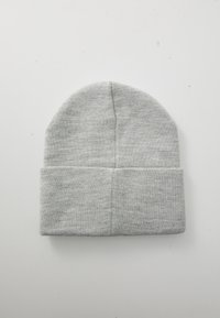 Replay Inc. Beanie - grey