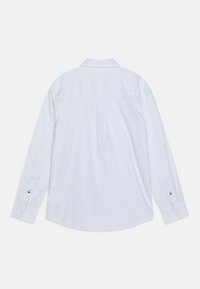 Lichtblauw en wit gestreept langemouwen shirt, van katoen, met een puntige kraag, knoopmanchetten, een rugplooien en een logo-accent op de manchet.