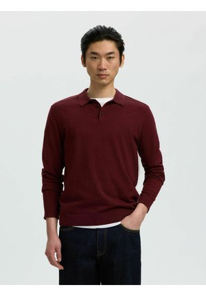 Mann mit kurzen schwarzen Haaren trägt einen bordeauxroten Pullover mit Kragen und langen Ärmeln über einem weißen Unterhemd und dunkelblauen Jeans, steht vor einem schlichten Hintergrund.