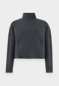 DRYKORN ASIRAL - Mikina - grey