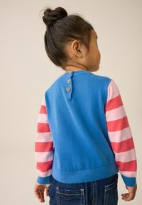 Knit sweater featuring blue body and pink striped sleeves. Back has wooden buttons at the neck, with a soft texture and fitted design.