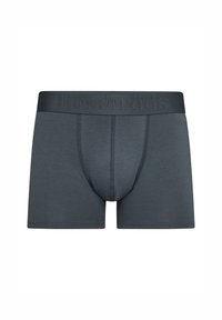 Boxer de color gris con una cinturilla ancha que presenta un logo en relieve. Fabricado en tejido suave con una textura lisa y un diseño ajustado.
