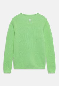 Světle zelený pletený svetr s dlouhými rukávy, texturovaným vzorem a vyšitým logem na zadní části nahoru.