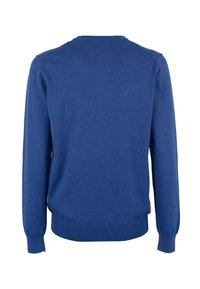 Blauwe, lange mouwen trui met een ronde hals. Gemaakt van zachte stof, met ribgebreide boorden en zoom. Soepele textuur zonder zichtbare patronen.