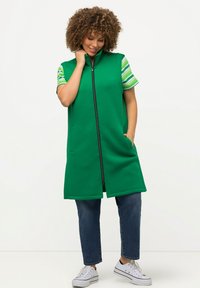 Grüne ärmellose Weste mit hohem Kragen, voller Reißverschluss und zwei Fronttaschen, getragen über einem gestreiften kurzärmeligen Hemd und blauen Jeans.