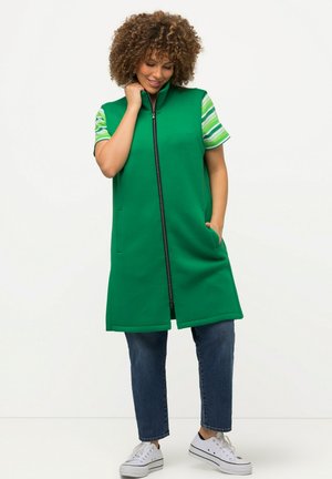 Gilet verde senza maniche con colletto alto, chiusura zip completa e due tasche frontali, indossato sopra una camicia a righe a maniche corte e jeans blu.
