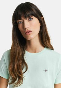 Licht mintgroene katoenen t-shirt met korte mouwen, ronde hals en een klein geborduurd logo op de linkerborst. Gladde textuur.