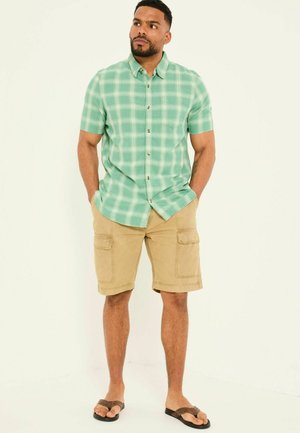 REGULAR FIT - GARMENT DYE UTILITY - Shorts - stone