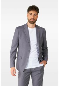Helle graue Anzugjacke mit einreihigem Schnitt, Reverskragen, zwei Knöpfen und zwei Vorderaschen. Kombiniert mit einem weißen Rundhals-T-Shirt.