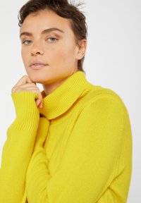 Rodier TURTLENECK - Trui - jaune