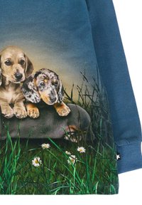 Grafische sweatshirt met twee puppy's op een blauwe achtergrond, met details in het gras en madeliefjes. Van katoen met lange mouwen.